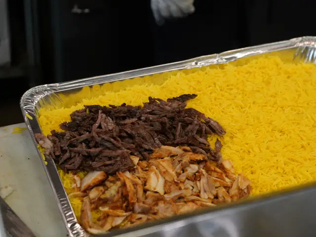 Beef and chicken shawarma over saffron rice